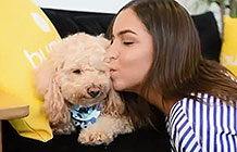 澳洲流浪狗救助组织情人节营销活动 约会照片