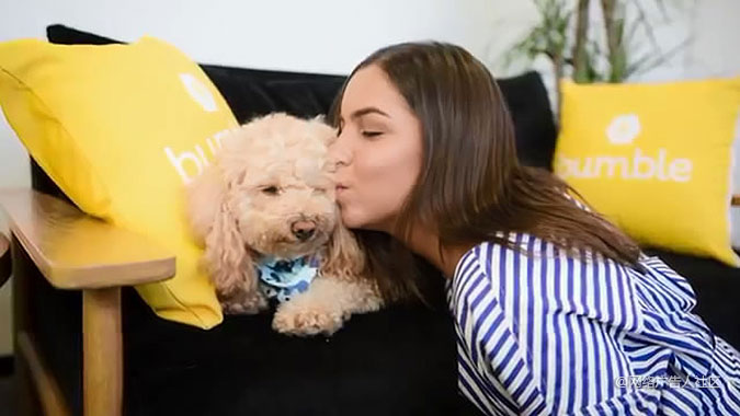 澳洲流浪狗救助组织情人节营销活动 约会照片